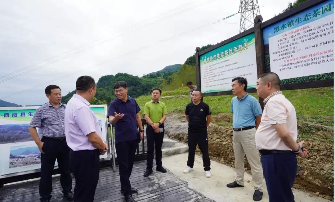 帮扶重庆市酉阳县麻旺镇长兴村